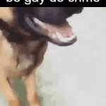 I can literally hear the Spongebob foghorn sound when some  blue-haired 14 yr old says that | "be gay do crime" | image tagged in gifs,shitpost,front page plz,funny | made w/ Imgflip video-to-gif maker