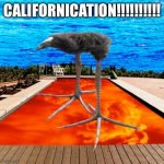 CALIFORNICATION!!!!!