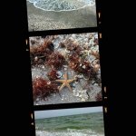Beach.