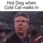 Now I wanna eat Cold Cat. | Hot Dog when Cold Cat walks in | image tagged in x when x walks in,memes,funny,hot dog | made w/ Imgflip meme maker