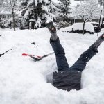 Snow meme