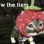 Rizzemwiththetism meme
