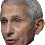 Fauci