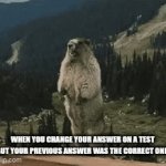 FUUUUUUUUUUU- | WHEN YOU CHANGE YOUR ANSWER ON A TEST BUT YOUR PREVIOUS ANSWER WAS THE CORRECT ONE: | image tagged in gifs,test | made w/ Imgflip video-to-gif maker