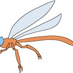 Male Meganeura (Paleoverse + EOIverse)