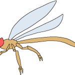 Female Meganeura (Paleoverse + EOIverse)
