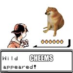 Blank Wild Pokemon Appears | CHEEMS | image tagged in blank wild pokemon appears | made w/ Imgflip meme maker