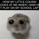 why not *sad idiot noises* | HOW MY LITTLE COUSIN LOOKS AT ME WHEN I SAID HE CANT PLAY ON MY SCHOOL LAPTOP: | image tagged in sad hamster,memes,true story | made w/ Imgflip meme maker