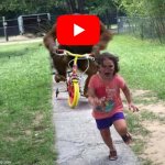 Boycott YouTube | image tagged in orangutan on bike chasing kid,brainwashing,scumbag youtube,corporate greed,youtube ads,youtube kids | made w/ Imgflip meme maker