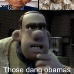 hmmmmm... | Those dang obamas are up to sumthen | image tagged in chicken run meme template,chicken run,hmmm,obama,native american,kronk | made w/ Imgflip meme maker