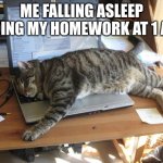 how homework be fr | ME FALLING ASLEEP DOING MY HOMEWORK AT 1 AM | image tagged in relatable,cats,homework | made w/ Imgflip meme maker