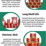 High Quality Canned Tomato Paste
