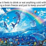 Cold food and drink | How it feels to drink or eat anything cold without getting a brain freeze and just to keep yourself cool: | image tagged in happy dolphin rainbow,cold,brain freeze,memes,blank white template,food and drink | made w/ Imgflip meme maker