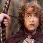Pippin Arrow