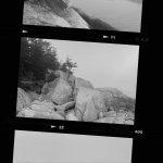 Great Wass Island Preserve, Maine.