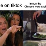 Woman Yelling At Cat | People on tiktok; I mean the Chinese were spying on us | image tagged in memes,woman yelling at cat | made w/ Imgflip meme maker