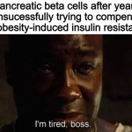 Type 2 Diabetes | Pancreatic beta cells after years of unsucessfully trying to compensate for obesity-induced insulin resistance | image tagged in i'm tired boss | made w/ Imgflip meme maker