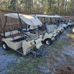 Free Lange’s Golf Cart Driving School