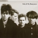 Echo & The Bunnymen template