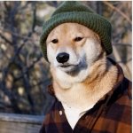 Dog with a hat