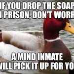 Malicious Advice Mallard | IF YOU DROP THE SOAP IN PRISON, DON'T WORRY; A MIND INMATE WILL PICK IT UP FOR YOU | image tagged in memes,malicious advice mallard | made w/ Imgflip meme maker