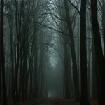 Forest. template