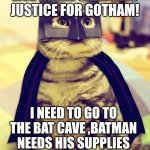 Batman cat | I'M BATMAN I LIVE IN THE SHADOWS JUSTICE FOR GOTHAM! I NEED TO GO TO THE BAT CAVE ,BATMAN NEEDS HIS SUPPLIES
FOR GOTHAM SLIDE IN TO BATTLE FOR GOTHAM!!! | image tagged in batman cat | made w/ Imgflip meme maker