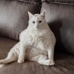 BigBoy