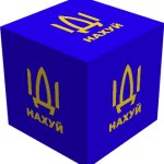 IDI NAKHUI