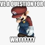 poor mario | I HAVE A QUESTION FOR GOD; WHYYYYYY | image tagged in mario depressed | made w/ Imgflip meme maker