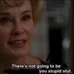 You stupid Slut