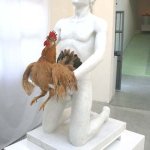 Chicken Love