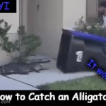 PSA | FYI; It works! How to Catch an Alligator | image tagged in gifs,alligator,trap,the more you know,psa,solution | made w/ Imgflip video-to-gif maker