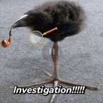 INVESTIGATION!!!!!