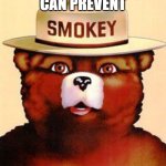 Smokey The Bear | ONLY YOU CAN PREVENT; FASCIST LIARS | image tagged in smokey the bear | made w/ Imgflip meme maker