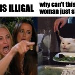 Woman Yelling At Cat | why can't this woman just shut up; THAT IS ILLIGAL | image tagged in memes,woman yelling at cat | made w/ Imgflip meme maker