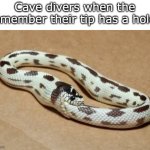 Going in- | Cave divers when the remember their tip has a hole: | image tagged in snake eating itself,funny,meme,memes,funny meme,funny memes | made w/ Imgflip meme maker