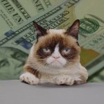 Grumpy cat table money