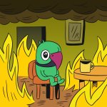 Rowdy This is Fine