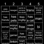 70lastchance's bingo thing idk template