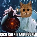 Saruman and Palantir | I CAST CATNIP AND HOOKERS | image tagged in saruman and palantir | made w/ Imgflip meme maker