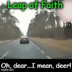 It can happen! | Leap of Faith; Oh, dear...I mean, deer! | image tagged in gifs,alternate route,next time,deer,dangerous | made w/ Imgflip video-to-gif maker