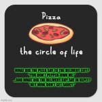 PIZZA PUNS | WHAT DID THE PIZZA SAY TO THE DELIVERY GUY?
“YOU DON’T PEPPER-OWN ME.” 
…AND WHAT DID THE DELIVERY GUY SAY IN REPLY?
“HEY NOW, DON’T GET SAUCY.” | image tagged in pizza pizza | made w/ Imgflip meme maker