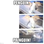 Painguin | PENGUIN. PAINGUIN! | image tagged in painguin | made w/ Imgflip meme maker