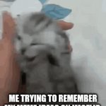 oh, what was i going to do? | ME TRYING TO REMEMBER MY MEME IDEAS ON IMGFLIP | image tagged in gifs,relatable | made w/ Imgflip video-to-gif maker