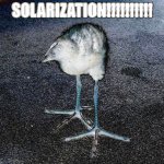 SOLARIZATION meme