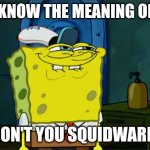 Don't You Squidward | YOU KNOW THE MEANING OF LIFE; DON'T YOU SQUIDWARD | image tagged in memes,don't you squidward | made w/ Imgflip meme maker