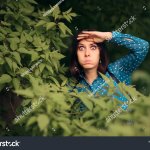 SWF stalker, social media stalker
