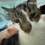 Tiny tim Meme Template