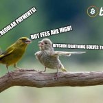 Meme | JUST USE REGULAR PAYMENTS! BUT FEES ARE HIGH! BITCOIN LIGHTNING SOLVES THIS!! | image tagged in blink meme contest 01 | made w/ Imgflip meme maker